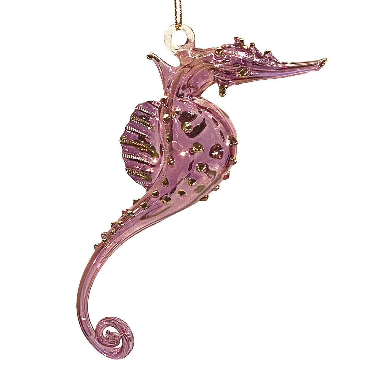 Seahorse FIG020PIN