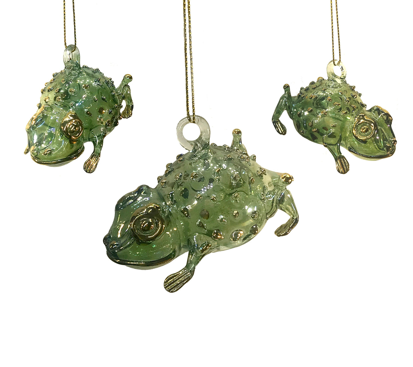 Frog FIG800GR